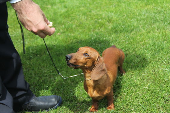 充実のサービス