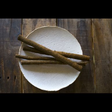 菜根譚とコンパニオンアニマル