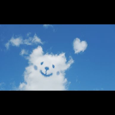 二子新地でペットシッターをお探しならモアハッピーで決まり