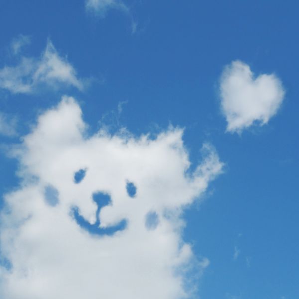 二子新地でペットシッターをお探しならモアハッピーで決まり